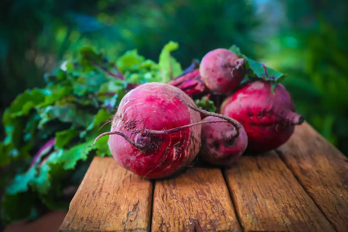 Sfeclă roșie cu frunze verzi așezată pe o masă de lemn, aliment bun pentru dieta zilnică