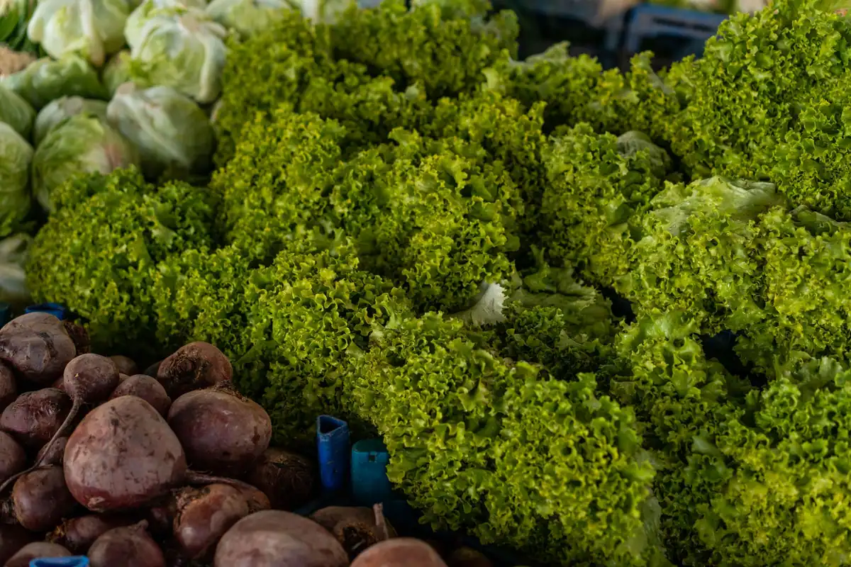 Legume proaspete, salată verde și cartofi, expuse pe o tarabă de piață