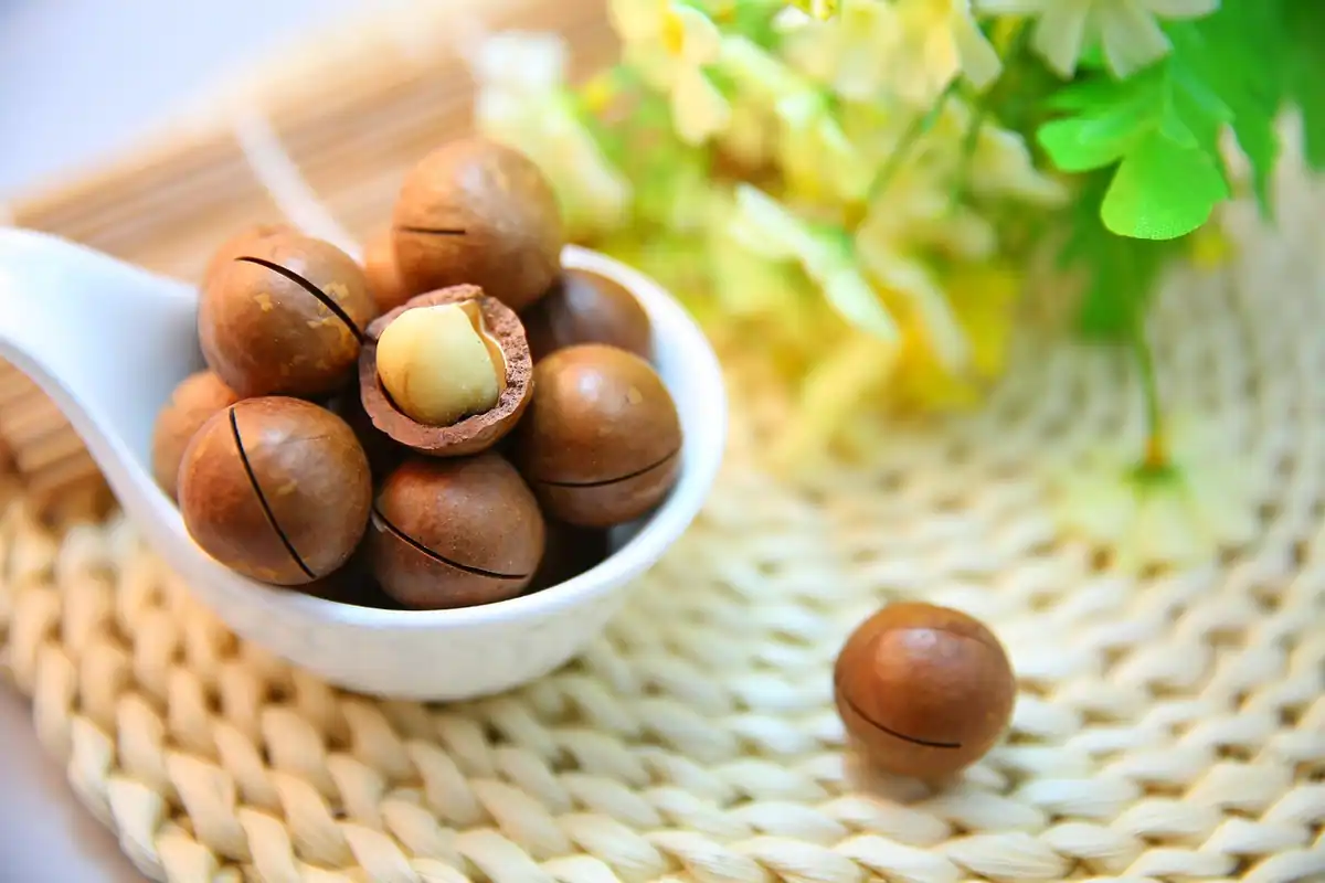 Nuci macadamia sparte, văzute de aproape, o gustare sănătoasă și naturală