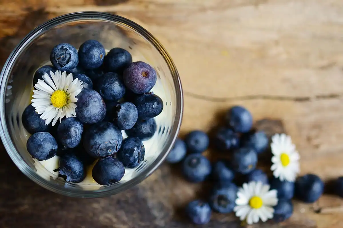 Afine proaspete și coapte, fructe de pădure bogate în vitamine, văzute de aproape
