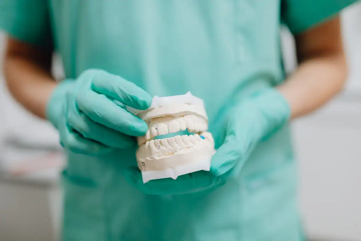 Tehnician dentar cu mănuși verzi care ține un mulaj din ipsos al arcadelor
